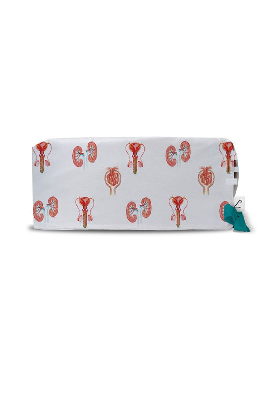 OK-muts – Nieranatomie